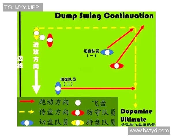 赛后分析：北京飞盘队与杭州飞盘队的实力对决与战术解析